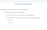 Non-random mating n Mating in many species is often assortative Humans provide lots of examples Humans tend to marry people of similar intelligence Humans.