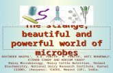 The strange, beautiful and powerful world of microbes RAVINDER NAGPAL 1, A.K. PUNIYA 1, M. PUNIYA 2, ARTI BHARDWAJ 3, KISHAN SINGH 1 AND HARIOM YADAV 4.