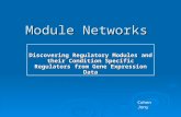 Module Networks Discovering Regulatory Modules and their Condition Specific Regulators from Gene Expression Data Cohen Jony.