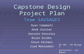 Capstone Design Project Plan Team SAUSAGES Ryan Campbell Anne Carrier Gonzalo Gonzalez Bryan Grider Steve Kerkmaz Ziad Mohieddin EE 401 – EE Design I Instructor.