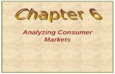 Analyzing Consumer Markets. Model of Buyer Behavior.