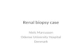 Renal biopsy case Niels Marcussen Odense University Hospital Denmark.
