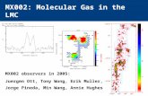 MX002: Molecular Gas in the LMC MX002 observers in 2005: Juergen Ott, Tony Wong, Erik Muller, Jorge Pineda, Min Wang, Annie Hughes.