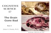 COGNITIVE SCIENCE 17 The Brain Gone Bad Part 1 Jaime A. Pineda, Ph.D. Meshberger, JAMA 264:1837-1841.