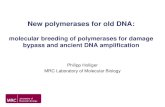 New polymerases for old DNA: molecular breeding of polymerases for damage bypass and ancient DNA amplification Philipp Holliger MRC Laboratory of Molecular.