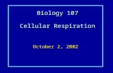 Biology 107 Cellular Respiration October 2, 2002.