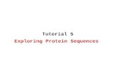 Exploring Protein Sequences Tutorial 5. Exploring Protein Sequences Multiple alignment –ClustalW Motif discovery –MEME –Jaspar.