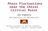 Phase Fluctuations near the Chiral Critical Point Joe Kapusta University of Minnesota Winter Workshop on Nuclear Dynamics Ocho Rios, Jamaica, January 2010.