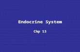 Endocrine System Chp 13. Hormones: Produced by endocrine glands [e.g. pituitary] Circulate in the blood stream 1.Steroids - lipid soluble 2.Nonsteroids.