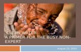 August 23, 2010 CLEAN WATER: A PRIMER FOR THE BUSY NON-EXPERT.