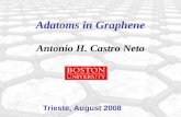 Adatoms in Graphene Antonio H. Castro Neto Trieste, August 2008.