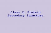 . Class 7: Protein Secondary Structure. Protein Structure u Amino-acid chains can fold to form 3-dimensional structures u Proteins are sequences that.