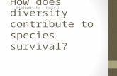 How does diversity contribute to species survival? Biodiversity – topic 1.