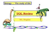 SOL Review Ms. Bogdan Biology…. The study of life.