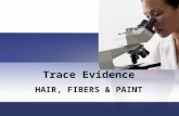 Trace Evidence HAIR, FIBERS & PAINT 1. Introduction Hair is encountered as physical evidence in a wide variety of crimes. Although it is not yet possible.