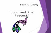 Sean O’Casey ‘Juno and the Paycock’ 1. An Overview of Juno and the Paycock Play’s Background Settings Plot Characters  Writer’s Life and Work  The Play.