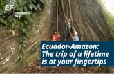 Ecuador-Amazon: The trip of a lifetime is at your fingertips.