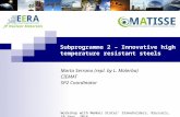 JP Nuclear Materials Subprogramme 2 – Innovative high temperature resistant steels Marta Serrano (repl. by L. Malerba) CIEMAT SP2 Coordinator Workshop.