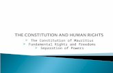 The Constitution of Mauritius  Fundamental Rights and freedoms  Separation of Powers.