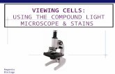 Regents Biology VIEWING CELLS: USING THE COMPOUND LIGHT MICROSCOPE & STAINS.