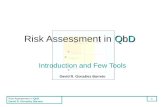 Risk Assessment in QbD David R. González Barreto 1 QbD Risk Assessment in QbD Introduction and Few Tools David R. González Barreto