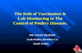 DR. EMAD SHAKER Arab Poultry Breeders Co. Saudi Arabia The Role of Vaccination & Lab Monitoring in The Control of Poultry Diseases.