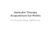 Auricular Therapy Acupuncture Ear Points Dr. Chuanxin Wang, DAOM, L.Ac.