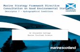 Marine Strategy Framework Directive Consultation on Good Environmental Status Descriptor 7 – Hydrographical Conditions Dr Alejandro Gallego Marine Scotland.