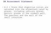 IB Assessment Statement H.2.1 State that digestive juices are secreted into the alimentary canal by glands, including salivary glands, gastric glands in.