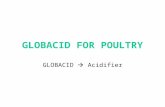 GLOBACID FOR POULTRY GLOBACID  Acidifier. Main acids used in animal nutrition Many acids are available, organic or minerals; liquids or solids Mineral.