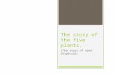 The story of the five plants. (The story of seed dispersal)