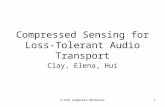 6.829 Computer Networks1 Compressed Sensing for Loss-Tolerant Audio Transport Clay, Elena, Hui.