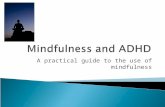 A practical guide to the use of mindfulness.  One of the best ways to practice mindfulness on your own is to learn meditation. "The purpose of meditation.