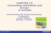 CHAPTER 13: Counseling Individuals and Groups in Schools Transforming The School Counseling Profession Fourth Edition Bradley T. Erford.