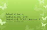 Adaptations, Variation, and Survival TCAP Lesson 8 Vocabulary Foldable XII.