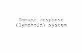 Immune response (lymphoid) system. Immune response system includes: Diffuse lymphoid infiltration Lymphoid follicles (nodules) MALT, GALT, BALT Tonsils.
