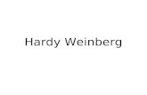 Hardy Weinberg. Hardy Weinberg refers to Populations