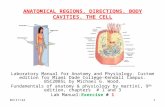 7/3/20151 ANATOMICAL REGIONS, DIRECTIONS, BODY CAVITIES. THE CELL Laboratory Manual for Anatomy and Physiology. Custom edition for Miami Dade College-Kendall.