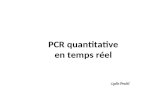 PCR quantitative en temps réel Lydie Pradel. PCR.