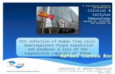 HIV infection of Human Treg cells downregulates Foxp3 expression and produces a loss of the suppressive capacity of these cells 3 rd International Conference.