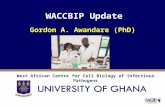 WACCBIP Update Gordon A. Awandare (PhD) West African Centre for Cell Biology of Infectious Pathogens.