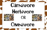 A carnivore is an animal that eats only flesh or meat.