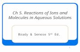 1 Ch 5. Reactions of Ions and Molecules in Aqueous Solutions Brady & Senese 5 th Ed.