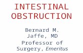 INTESTINAL OBSTRUCTION Bernard M. Jaffe, MD Professor of Surgery, Emeritus