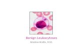 Benign Leukocytoses Kristine Krafts, M.D.. Neutrophilia Lymphocytosis Basophilia Monocytosis Eosinophilia Benign Leukocytoses