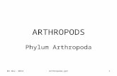 04 Nov. 2014Arthropoda.ppt1 ARTHROPODS Phylum Arthropoda.