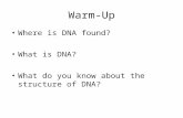 Warm-Up Where is DNA found? What is DNA? What do you know about the structure of DNA?