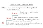 Food chains and food webs About how energy moves through food chains and webs. WAL: All Most Some How does energy enter an ecosystem and become transferred.