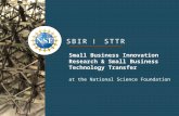 SBIR STTR Small Business Innovation Research & Small Business Technology Transfer at the National Science Foundation.