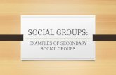 SOCIAL GROUPS: EXAMPLES OF SECONDARY SOCIAL GROUPS.